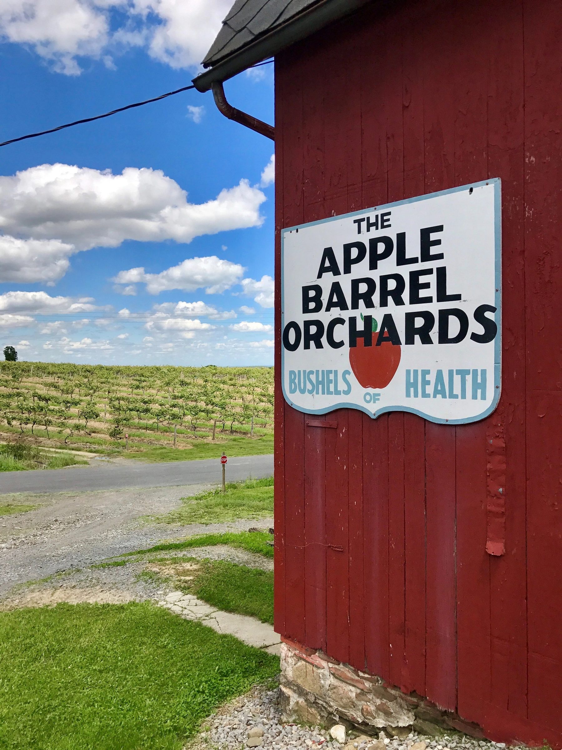 Apple Barrel Orchards — 1991