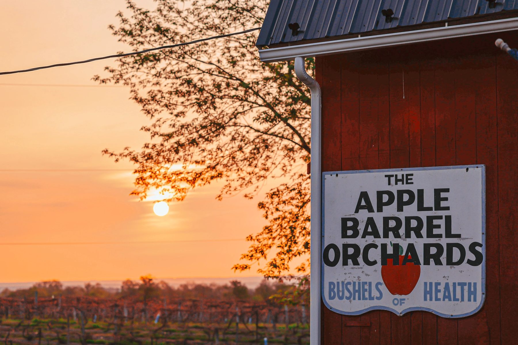 The Apple Barrel Orchards barn sign at sunset