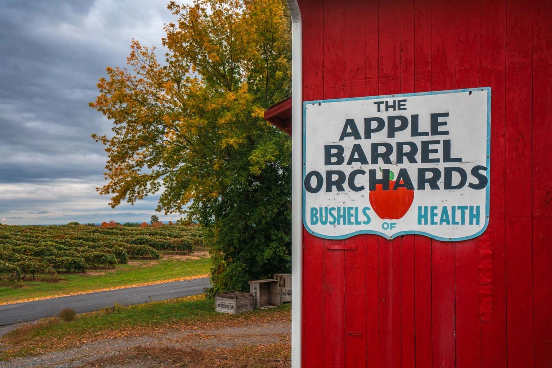 Farm Store at Apple Barrel Orchards